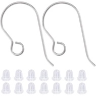 Beebeecraft 1 Box 20Pcs 316 Surgical Stainless Steel Earring Fish Hooks Silver Earring Hooks for DIY