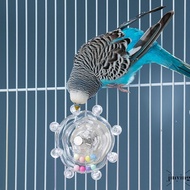 Budgie Toys Parakeet Training Toys Educational Flying Saucer Spinning Wheel Toy for Bird Cage Access