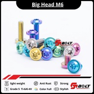 Titanium Bolt BIG Head m6 / (10 Thread) Grade 5 Titanium Material Ti-6Al-4V