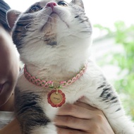 手工編織寵物狗狗貓貓項圈客製化防丟身份證