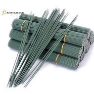 100Pcs 14Gauge Iron Wire Sticks for DIY Floral and Craft Projects, 12Inch
