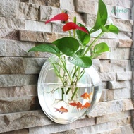 DELMER Wall Mounted Fish Tank, Acrylic Transparent Wall-Hanging Fish Bowl, Creative 3D Hemisphere Shape Hanging Betta Tank Goldfish