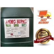 City Farm Agro Original Ammo Supre 20Liter / Ammo Super 20 liter / amor super Racun Rumput Kebun/ He