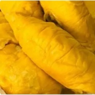 Fresh premium Durian