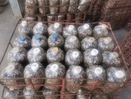 เชื้อเห็ดฟางแพ้ค5ก้อน​  คุณภาพดีเชื้อเต็ม ก้อนเชื้อเห็ดฟาง​  straw​mushroom​ เชื้อเห็ด​  เห็ดฟาง ก้อ