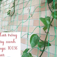 Turquoise planting net, 4m wide