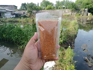 Serundeng Kelapa Asli 1kg Serundeng kelapa Manis Serundeng Kelapa Asin Serundeng Serundeng Kelapa Gu