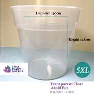 Transparent Clear Aroid Pot (5XL Size / 12 inches pot) (Diameter 30cm / Height 28cm)