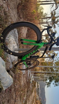 90新scott foil rc 公路車