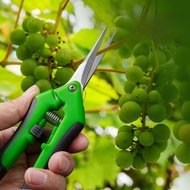 Labor-Saving Garden Pruning Shears - Multifunctional Straight-Head for Flowers and Branches with Non