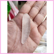 ☣ ✢ ⚑ Mutya ng Linta Clear with oracion