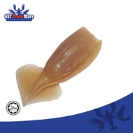 FROZEN SOTONG RENDAM HEADLESS 130-180GM/PC +- 冷冻鱿鱼 - GST FRESH MART