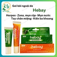 HEBAY - Gel bôi Herpes, zona, mụn rộp, mụn nước ở môi, zona, tay chân miệng... Tuýp 5g, 15g Antifung