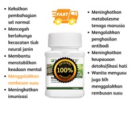 🔥JUAL 1K+🔥 AMWAY Nutrilite Iron Folic