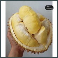 Best Seller Durian Montong Palu Parigi Utuh&amp;Bulat Ready Kak