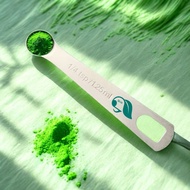 TEATUNE Precision 1-Gram Matcha Measuring Spoon | Stainless Steel | 10.7cm Length
