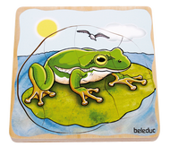 จากแบรนด์ Beleduc**Layer-Puzzle "Frog" เกมปริศนา-วงจรชีวิตของกบ**เหมาะสำหรับเด็กอายุ 4 ขวบ+