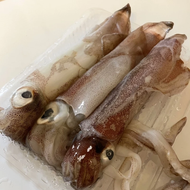 小捲一排裝300g/盒【鑫魚食舖】；冷凍/海鮮團購/烤肉/小捲/基隆小捲/生凍小捲/活凍小捲