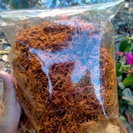 Serunding DAGING Original KG LAUT 180g