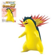 現貨 玩具e哥 精靈寶可夢 scale world 城都地方 火爆獸 再販 代理92009