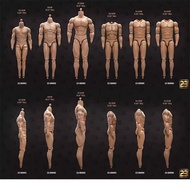 23Toys 23-Bd001-6 1/6 Male High Body