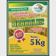 benih padi unggul HERCULES (GHG) umur pendek berbobot 5 kg