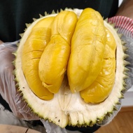 Durian Fresh Musang King - Utuh Bulat Best Seller