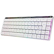 ASUS ROG Falchion RX Low Profile 65% Compact Wireless Gaming Keyboard, Pre-Lubricated ROG RX Red Low Profile Optical Switches, Silicone Damping Foam, Interactive Touch Panel, RGB White