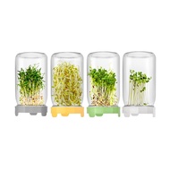 Treeling Sprouting Jar Sprouting Jar Set Germination Sprouter Set with Lid Stand