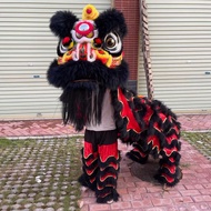 New Full Set of Australian Wool Dragon Dance Lion Gong Drum Props Lion Lion Head Wool Lion South Lion Foshan Lion