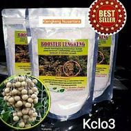 |EXECUTIVE| Boster Klengkeng KCLO3 25 Kg
