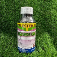 RACUN RUMPUT TRI-ESTER 500ML SAMA MACAM GARLON RANGER KENLON