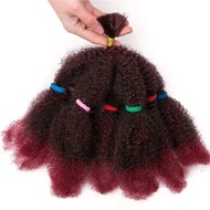Afro Kinky Twist Braiding Hair 12 Inch Pre Fluffied Afro Kinky Hair Synthetic Bulk Hair Extensions F
