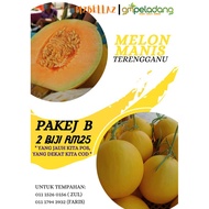 MELON MANIS TERENGGANU(MMT)
