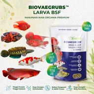 BiovaeGrubs™ Larva BSF 100g | Makanan Ikan Organik | Arowana Koi Flowerhorn Channa Parrot Oscar