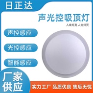12W Round Ceiling Light Sound Light Control Induction Ceiling Light Aisle Stairwell Ceiling Lighting