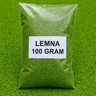 MATA Lemna minor Catfish Eye/ – Cheap, Quality Catfish Food Water Plant Seeds