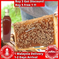 MR BENTONG HONEY Madu Asli Hutan Premium Pure Honey 野蜜蜂蜜 Tualang Kelulut Royale Jelly Sarang Lebah B