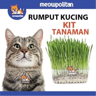 Rumput untuk kucing - cat grass ( biji benih ) Cat Wheat Grass Pet Grass