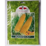 Bagus!! Benih Jagung Manis Bonanza F1
