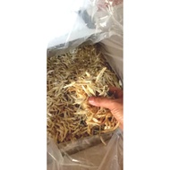 Ikan Bilis Tanjung Dawai