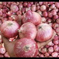 bawang merah impor india