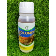 Solomon (OD) 500ml bayer