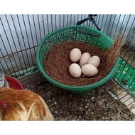 Telur AYAM SERAMA  BERBENIH SESUAI DIJADIKAN INDUK DAN SESUAI DIJADIKAN MAKANAN