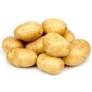 Ubi Kentang / Potato 500gm 1kg