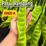 petai fresh/Petai baru/Mata besar 1 keping