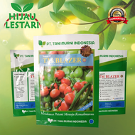 TM BLAZER Benih Tomat isi 3000 biji ORIGINAL