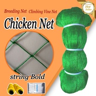 【Fractury price】12 strands 1.2i *00M/50M/Chicken Net Range Net For/Chicken Lambat Outdoor Defense Bi