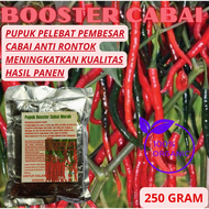 Pupuk Cabe Agar Berbuah Lebat Obat Semprot Pelebat Buah Cabe Pupuk Booster Cabe Rawit Merah Keriting