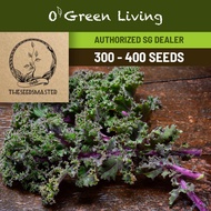 S32 Kale 'Red Russian' - OGL